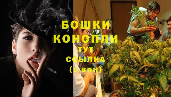мескалин Баксан