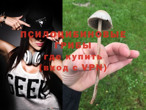 apvp Балахна