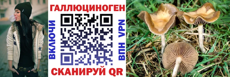 Псилоцибиновые грибы Cubensis  Зарайск 